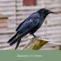 Пугало-оберег, для садового дома, МИКС, Greengo Пугало-оберег, для садового дома, МИКС, Greengo