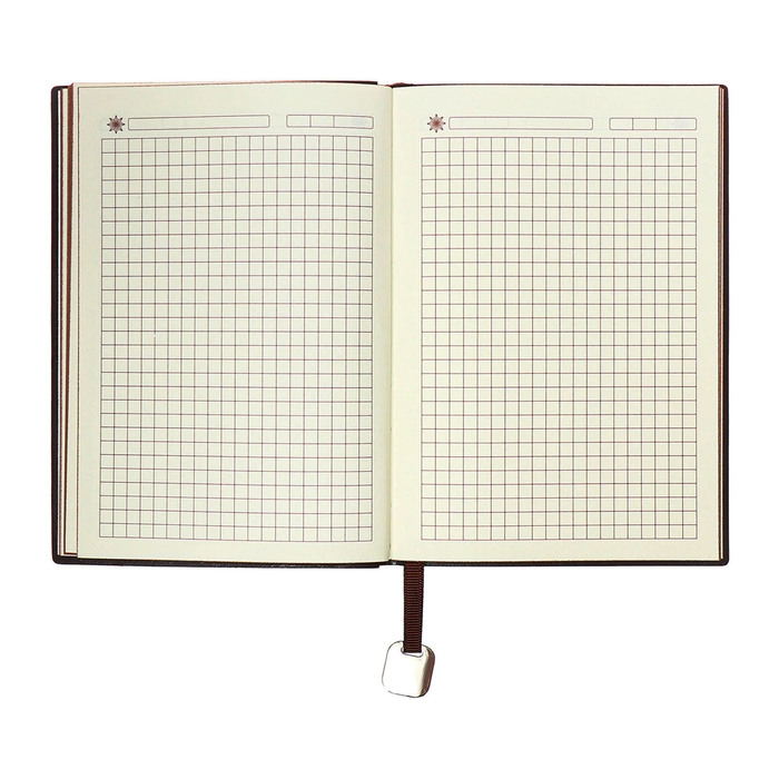 Органайзер на кольцах, B6, 116л, клетка, обл.кожзам, коричневый срез, Синий