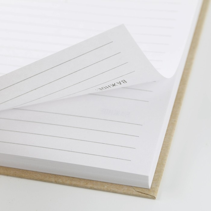 Ежедневник &laquo;Товарищ, мысль свою запиши, план выполни&raquo; А5, 80 листов