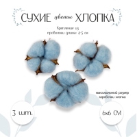 Сухие цветы хлопка, набор 3 шт., размер 1 шт. 6 &times; 6 см, цвет голубой