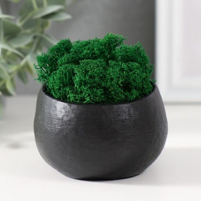 Кашпо бетонное Кашпо бетонное "Пришелец" высота 5 см, d-6 см черный со мхом (мох зелен. стабилизир)