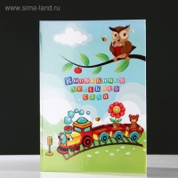 Папка адресная "Выпускной" лужайка, А4 Папка адресная "Выпускной" лужайка, А4