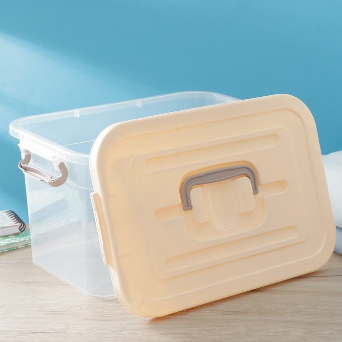 Контейнер для хранения с крышкой Доляна, 10 л, 35,5&times;23,5&times;19 см, цвет бежевый