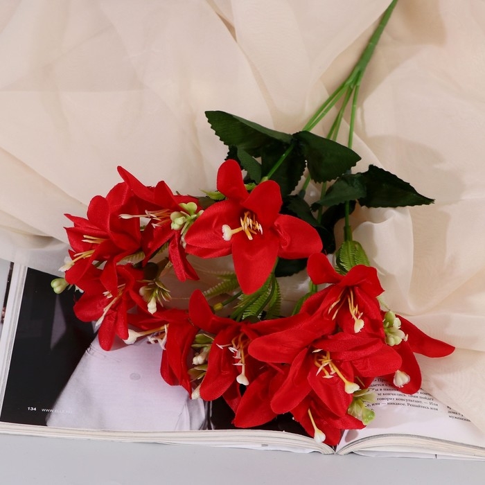 Букет Букет "Фрезия галант" 6х34 см, микс