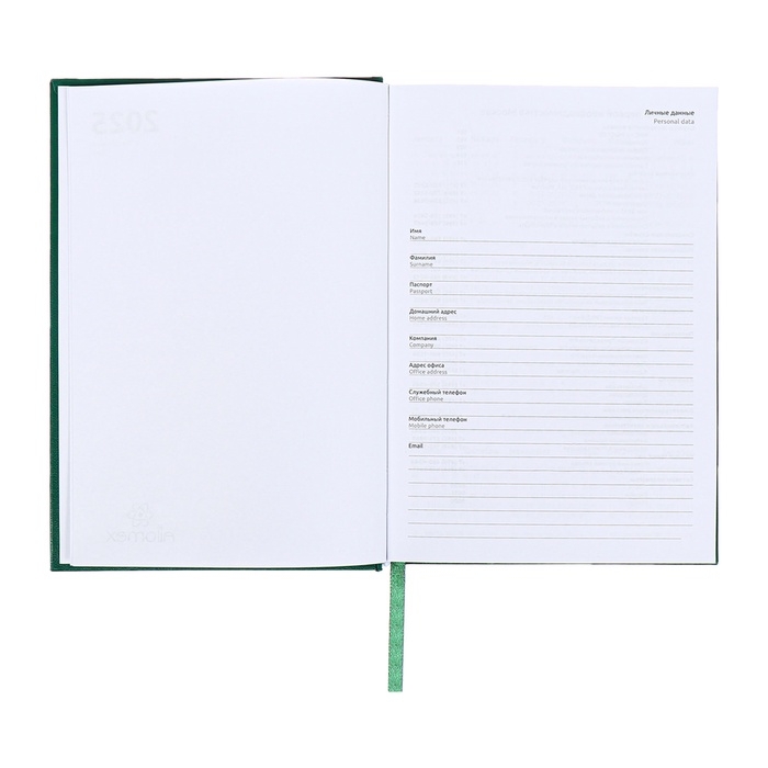 Ежедневник датированный 2024 года, А5, 176 листов, Attomex.Orion, обложка бумвинил, ляссе, блок 70 г/м2, зелёный