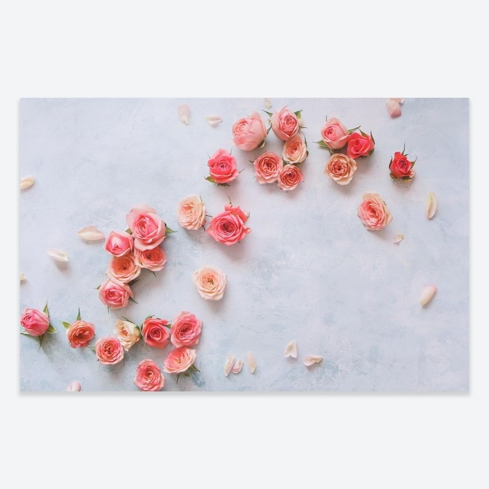 Фотофон двусторонний бумага 300 гр Фотофон двусторонний бумага 300 гр "Розы и ромашки" 57х87 см