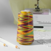 Нитки мультиколор 40/2, 2700 м, цвет разноцветный Нитки мультиколор 40/2, 2700 м, цвет разноцветный