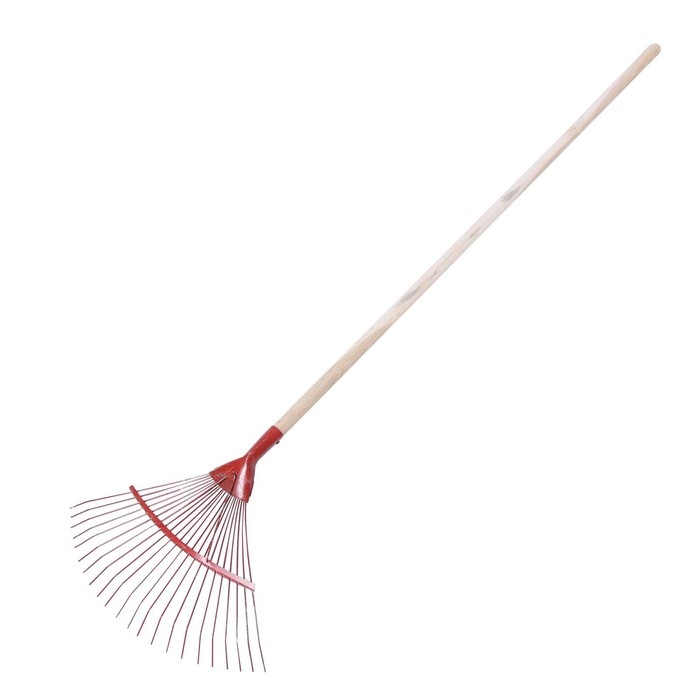 Грабли веерные, пластинчатые, 20 зубцов, металл, деревянный черенок