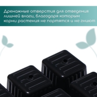 Кассета для рассады, на 6 ячеек, по 120 мл, пластиковая, чёрная, 18 &times; 13 &times; 6 см, в наборе 10 шт., Greengo