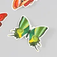 Бабочки картон "Натуральные" набор 12 шт h=4-10 см