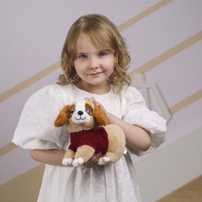 Мягкая игрушка &laquo;Собачка в будке&raquo;