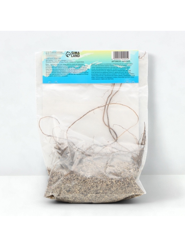 Флокс метельчтый Rembrandt корневище в пакете с торфогрунтом, р-р II, 2 шт.