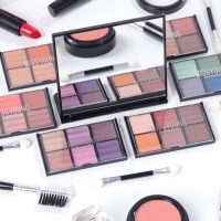 Набор профессиональной косметики"Miss Young" №11