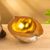 Чаша из кокоса, 18&times;18&times;10 см, бежево-золотая