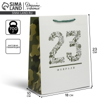 Пакет подарочный ламинированный вертикальный, упаковка, &laquo;23 февраля&raquo;, MS 18 х 23 х 10 см