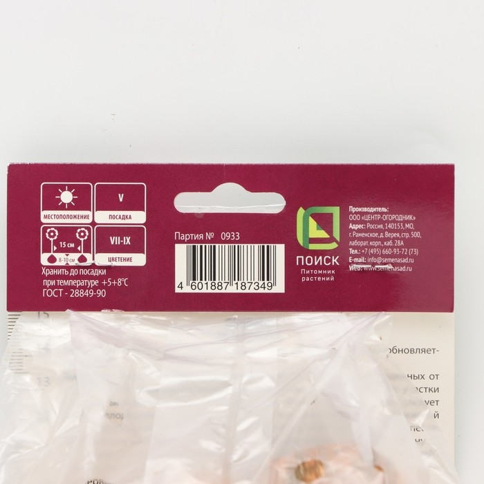 Гладиолус крупноцветковый &laquo;Вайн энд Роузес&raquo;, луковица цветов в пакете с перфорацией, р-р 10/12, 10 шт.