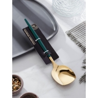 Лопатка из нержавеющей стали Magistro «Грэйс», длина 26 см, цвет ручки зелёный, цвет головы золотой Лопатка из нержавеющей стали Magistro «Грэйс», длина 26 см, цвет ручки зелёный, цвет головы золотой