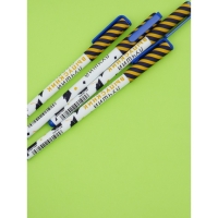 Набор пластиковых ручек "Лучший выпускник школы", синяя паста 0.7 мм, 4 шт