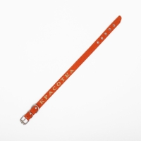 Ошейник кожаный однослойный, тиснёный «Красотка», 48 х 2 см, ОШ 32-43 см, микс цветов Ошейник кожаный однослойный, тиснёный «Красотка», 48 х 2 см, ОШ 32-43 см, микс цветов