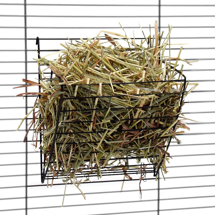 Сено луговое с люцерной &laquo;Пижон&raquo; для грызунов, 20 л, 500 г