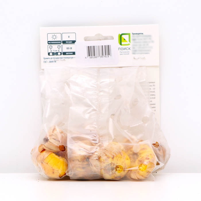 Гладиолус крупноцветковый &laquo;Эмбер Мистик&raquo;, луковица цветов в пакете с перфорацией, р-р 10/12, 10 шт.