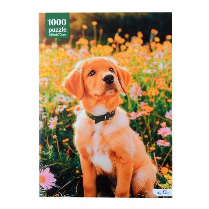 Пазлы &laquo;Прогулка с другом&raquo;, 1000 элементов