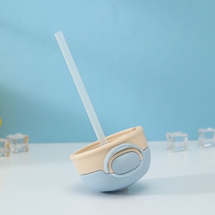 Бутылка для воды стеклянная &laquo;Космонавты&raquo;, 450 мл, 8,2&times;15 см, цвет МИКС, матовое стекло