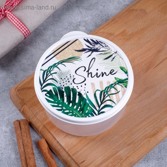 Ланч-бокс &laquo;Shine&raquo;, 500 мл