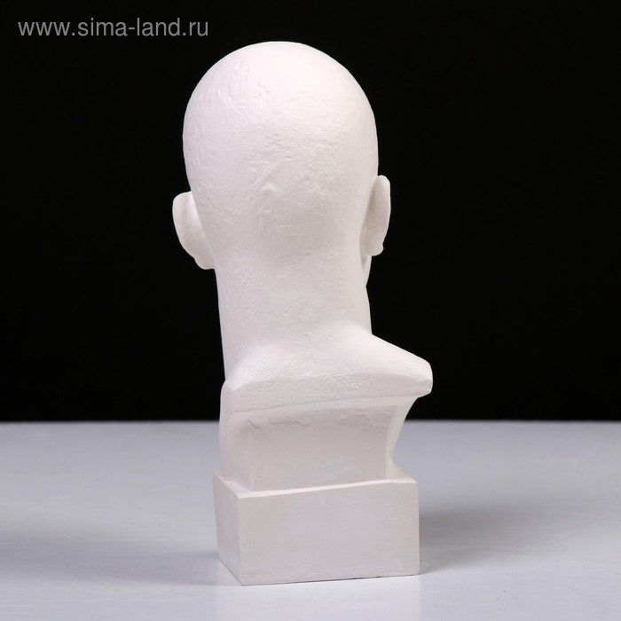 Гипсовая фигура известные люди: Бюст Маяковского, 9,5 х 11 х 23 см