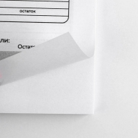 Умный блокнот CashBook А6, 68 листов &laquo;Денежный кот&raquo;