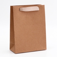 Пакет крафт без печати, 15 х 7 х 20 см 260 г/м2 Пакет крафт без печати, 15 х 7 х 20 см 260 г/м2
