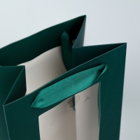 Пакет подарочный под бутылку, упаковка, &laquo;Present&raquo;, 36 х 13 х 10 см