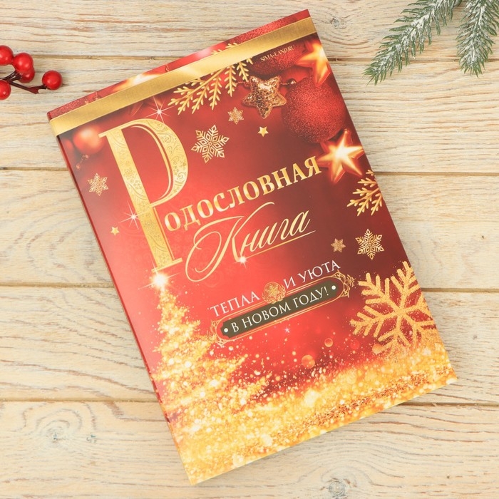 Новогодний, подарочный набор: Родословная книга и чайный домик &laquo;Новый год: Зимняя сказка только для тебя&raquo;, 28 х 11 х 24 см., набор