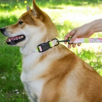 Поводок &laquo;Сочное настроение&raquo;, 2.5 см, 2 м