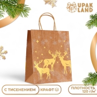 Пакет крафт с золотым тиснением, круглая ручка, "Новый год" 33 х 25 х 12 см, 120 г Пакет крафт с золотым тиснением, круглая ручка, "Новый год" 33 х 25 х 12 см, 120 г