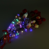 Плёнка упаковочная с гирляндой &laquo;Разноцветная&raquo;, 60 х 60 см