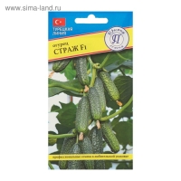 Семена Огурец "Страж" F1, 5 шт Семена Огурец "Страж" F1, 5 шт