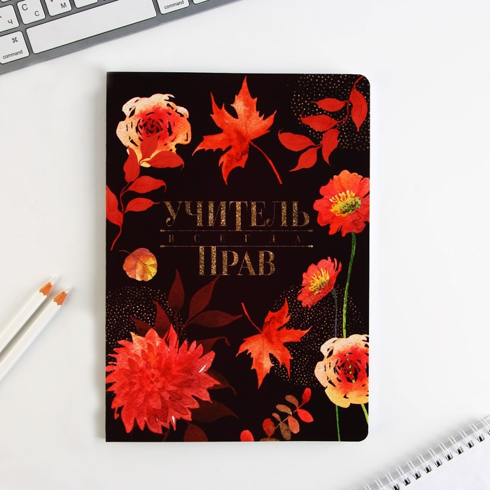 Подарочный набор &laquo;Учитель всегда прав&raquo;: ежедневник А5, 96 листов и ручки софт-тач