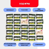 Мемо &laquo;Динозавры&raquo;