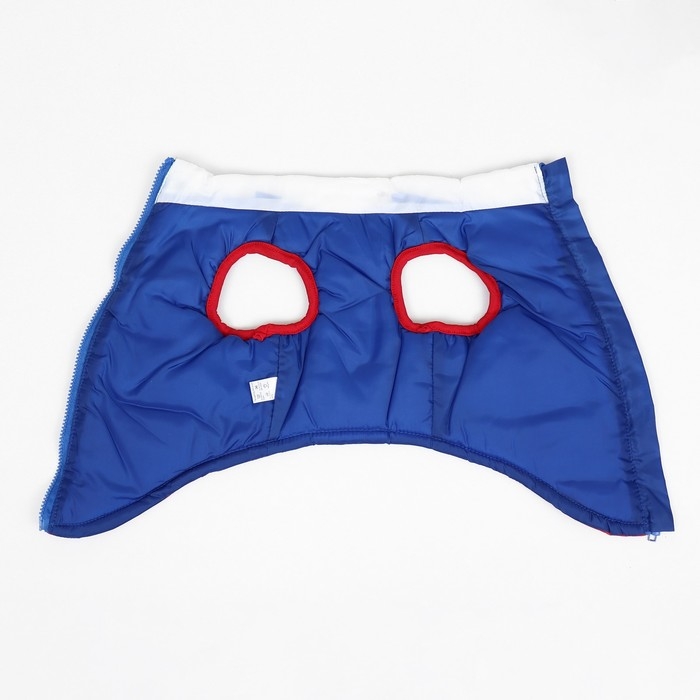 Куртка для собак "Патриот", размер S (ДС 22, ОГ 37 см)