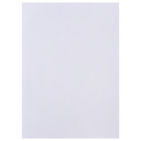 Набор ватманов чертёжных А1, 160г/м2, 20 листов Набор ватманов чертёжных А1, 160г/м2, 20 листов