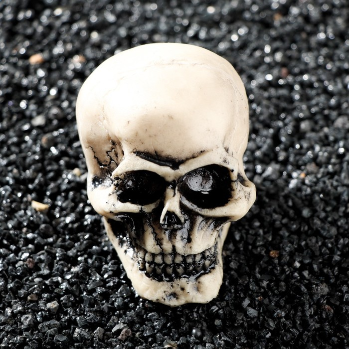 Декор для аквариума Декор для аквариума "Череп", 9 х 6 х 6 см