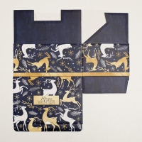 Коробка подарочная новогодняя складная «Новогоднее волшебство», 22 х 15 х 10 см, Новый год Коробка подарочная новогодняя складная «Новогоднее волшебство», 22 х 15 х 10 см, Новый год