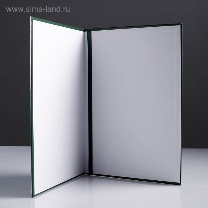 Папка адресная Папка адресная "Виньетка" бумвинил, мягкая, зелёный, А4