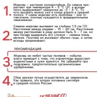 Семена Морковь "Нантская 4", 2 г