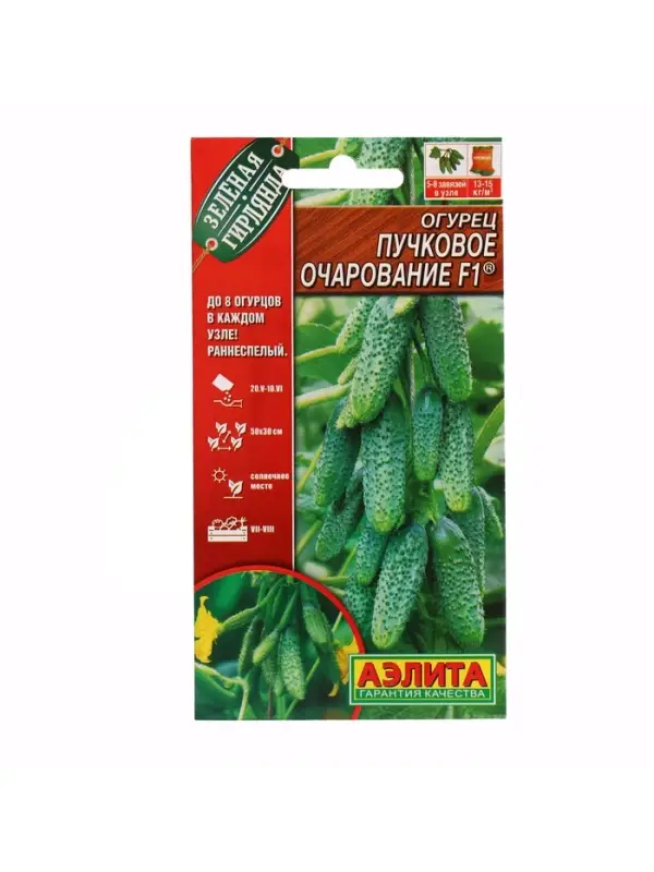 Семена Огурец "Пучковое очарование", F1, ц/п, 10 шт