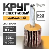 Круг лепестковый радиальный ТУНДРА, 20&times;20&times;6 мм, Р60