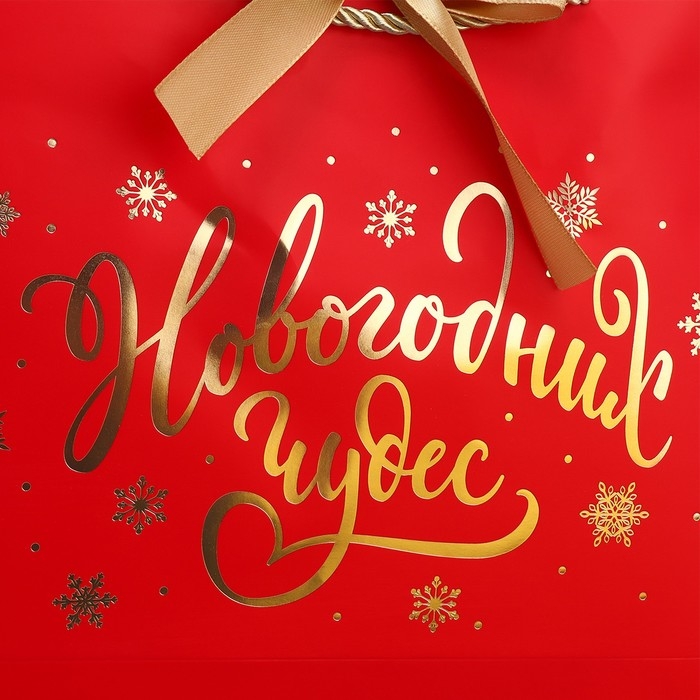 Пакет подарочный новогодний &laquo;Чудеса рядом&raquo;, 26 х 25 х 11 см