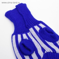 Свитер, размер 6 (24-28 см), микс расцветок Свитер, размер 6 (24-28 см), микс расцветок