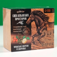 Подарочный набор &laquo;23 февраля &raquo;: чай травяной 20г., бальзам с шиповником 100мл., варенье из сосновых шишек 30г.